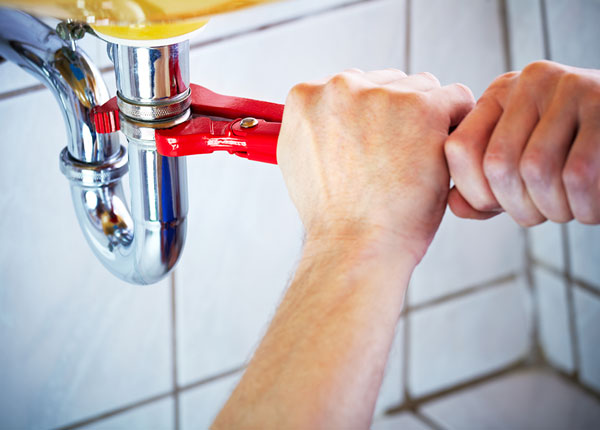 About Raccoon Plumbers